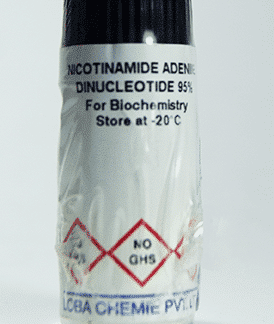 NICOTINAMIDA ADENINA DINUCLEOTIDO (NAD)